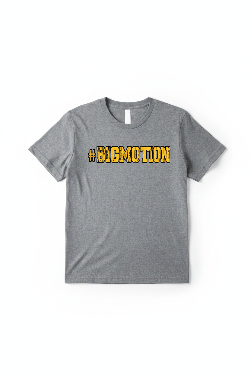 #BIGMOTION Grey T-Shirt